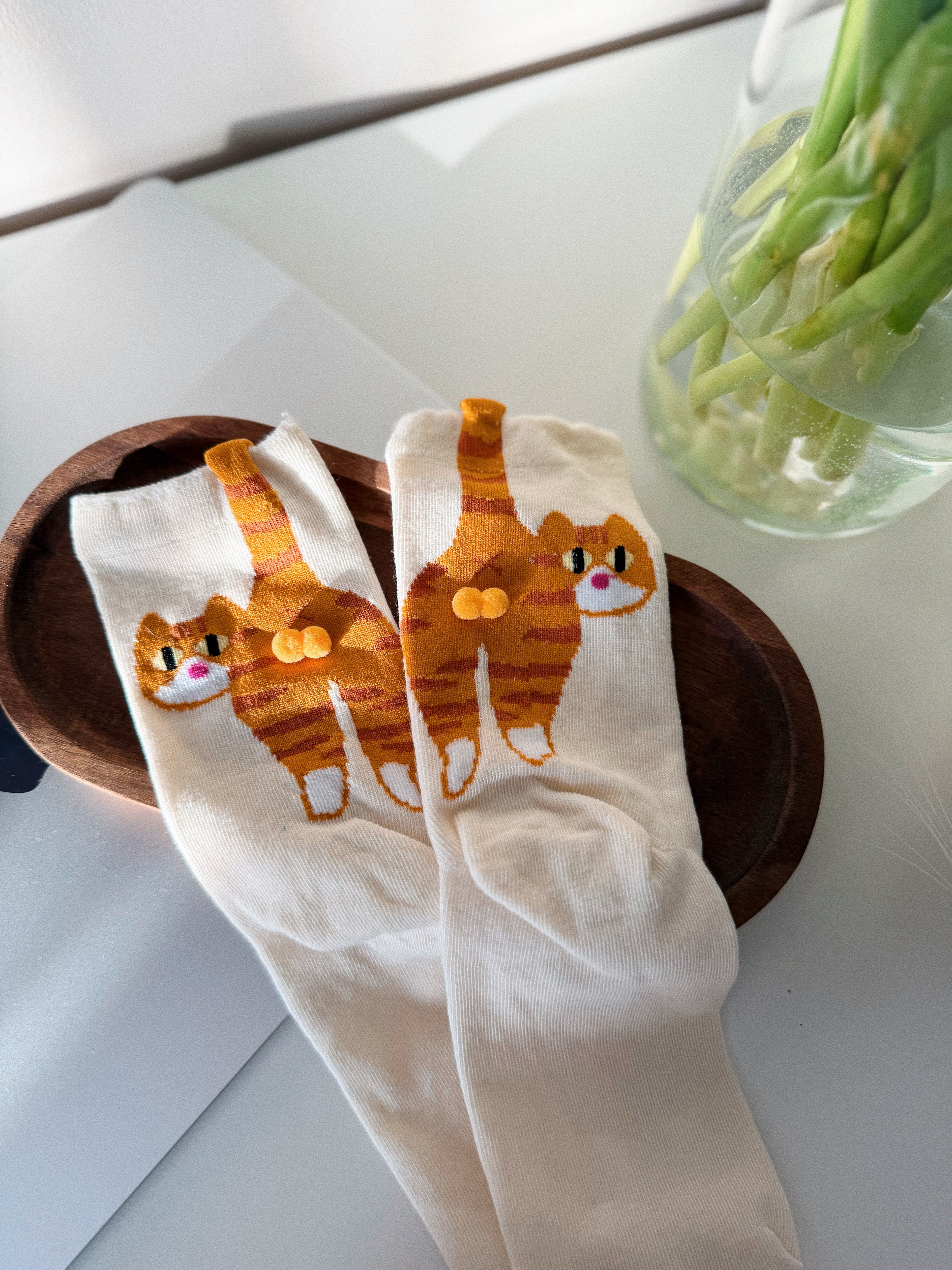 Skarpety z Kotem "Jajka"