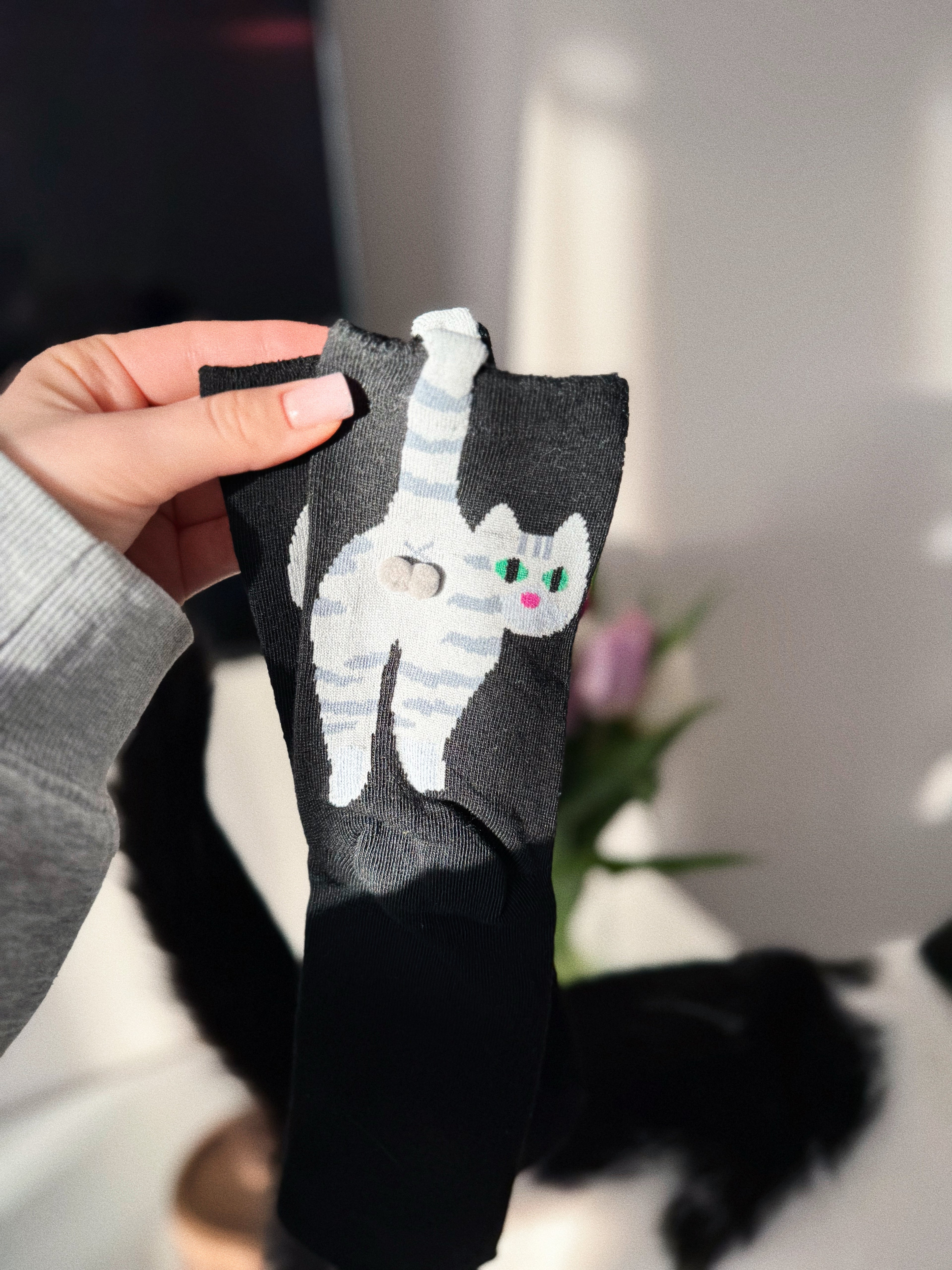 Skarpety z Kotem "Jajka"